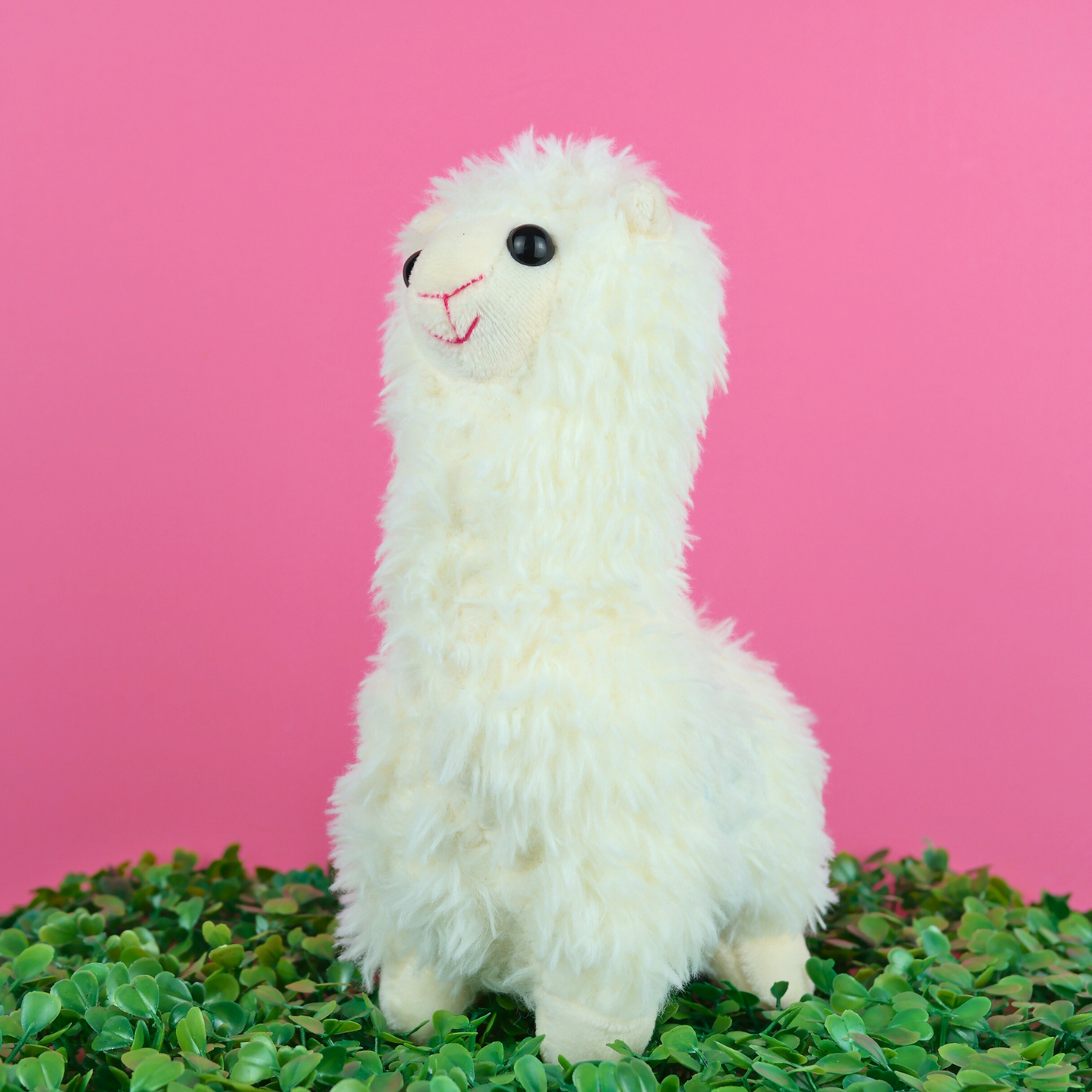 Juguete Peluche Diseño De Alpaca De Chile Blanca