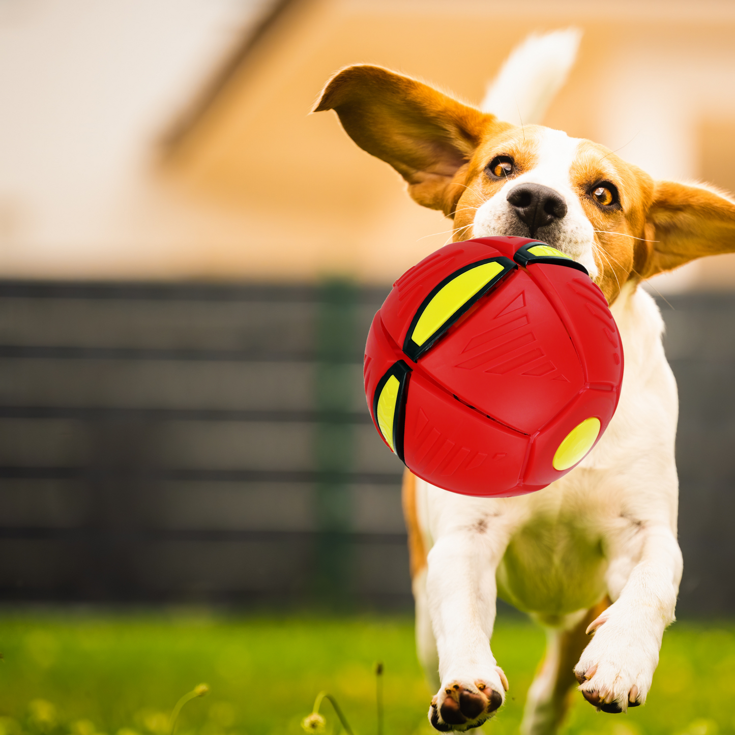 Frisbee Pelota Mágica Con Luz Led Verde