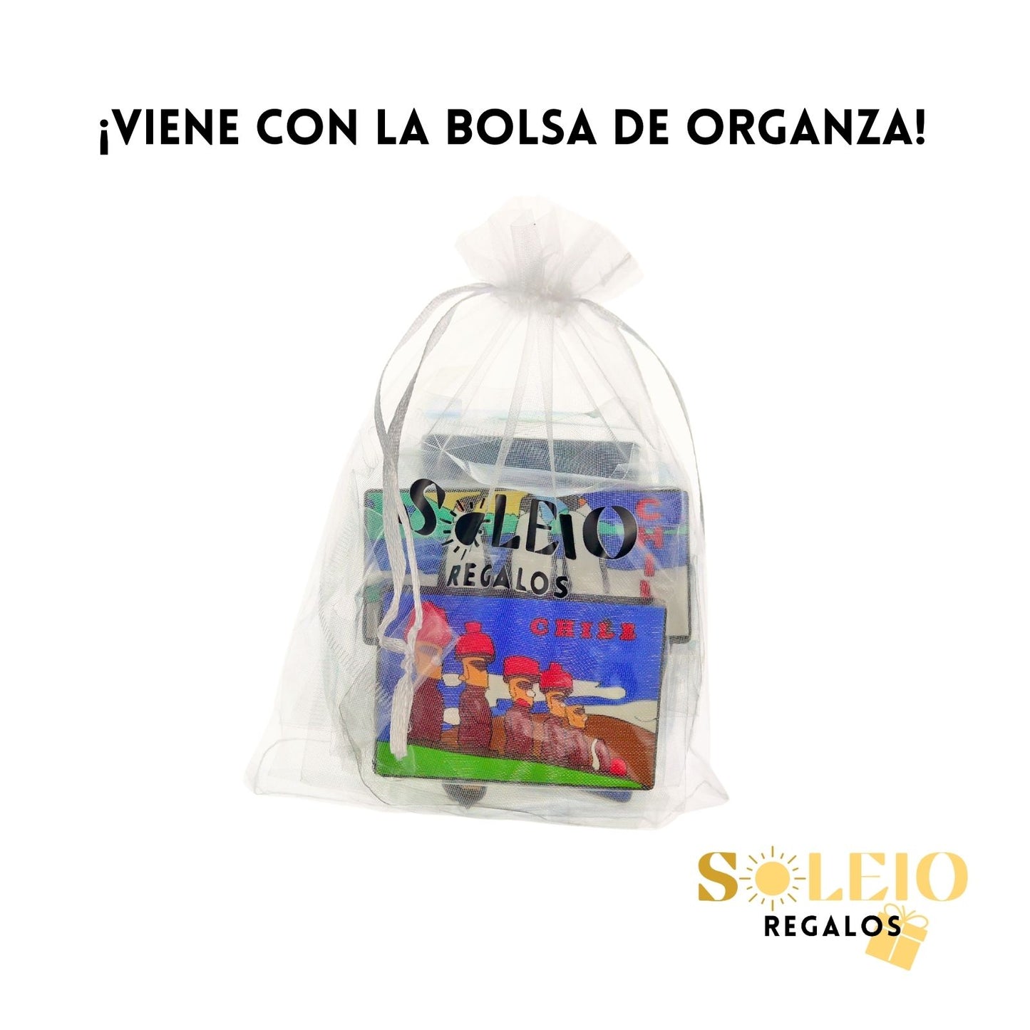 Imán De Goma Refrigerador Souvenir Chile Llama