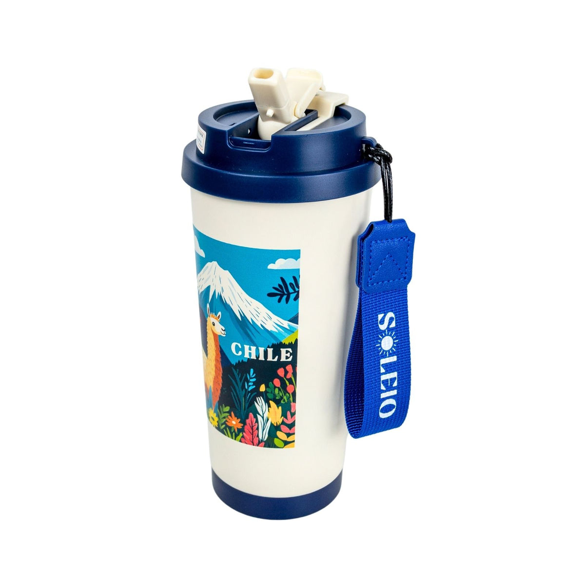 Pack 4 Vasos Térmicos Postal Andina Chile Azul 500 ml