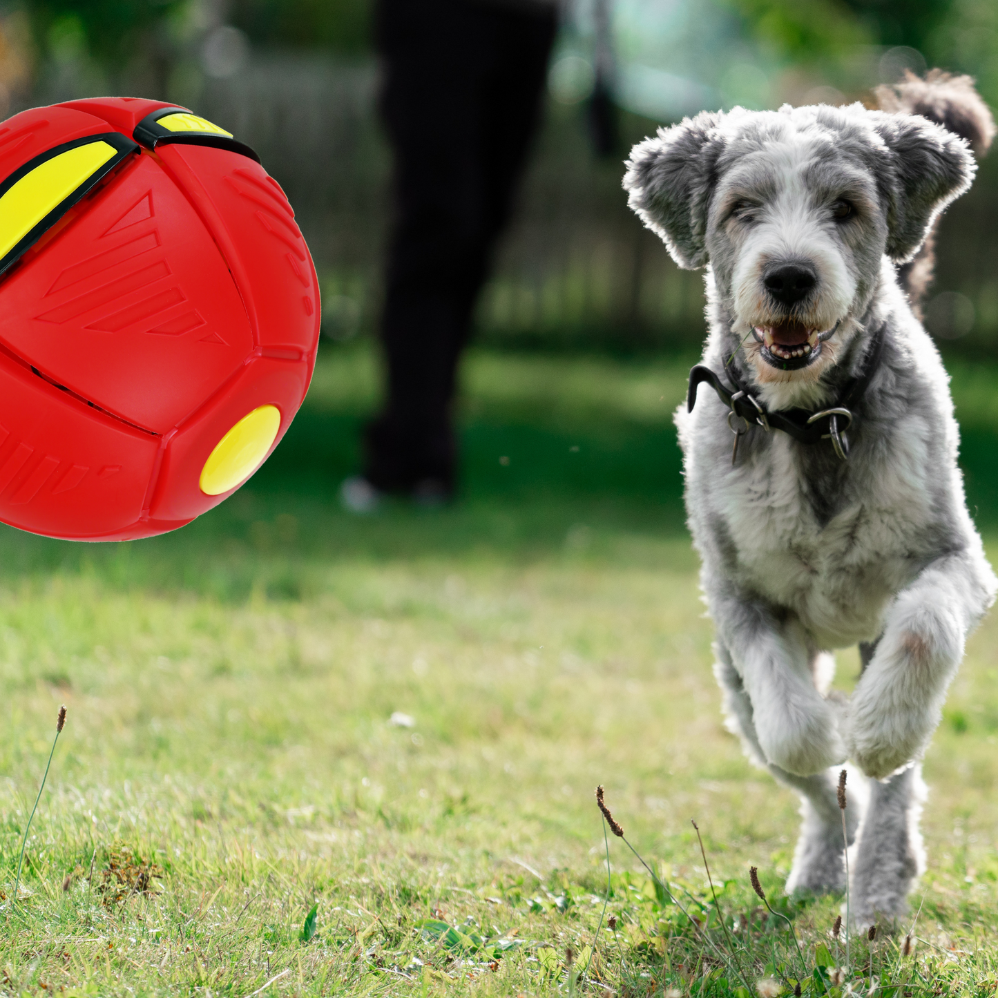Frisbee Pelota Mágica Con Luz Led Azul
