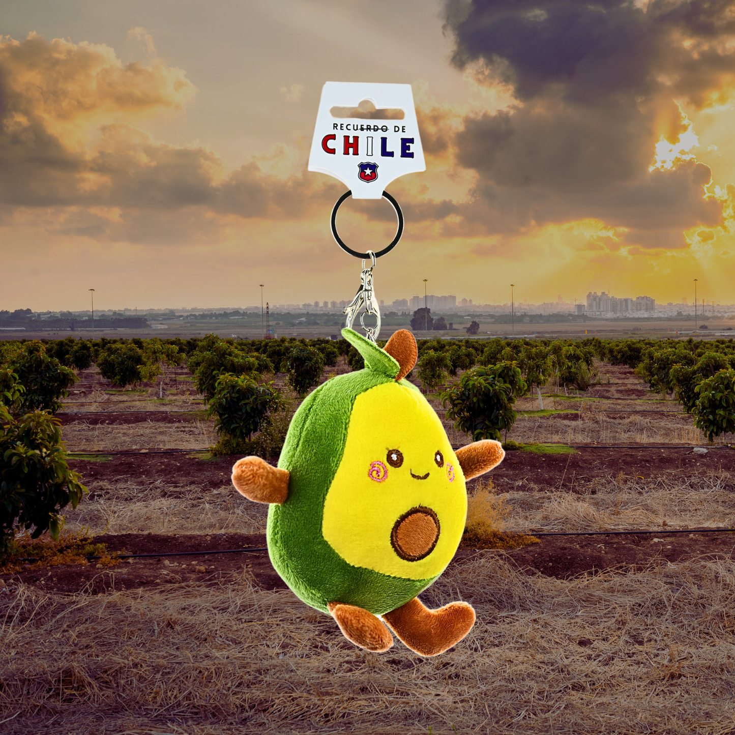 Llavero de Peluche Souvenir de Chile Palta