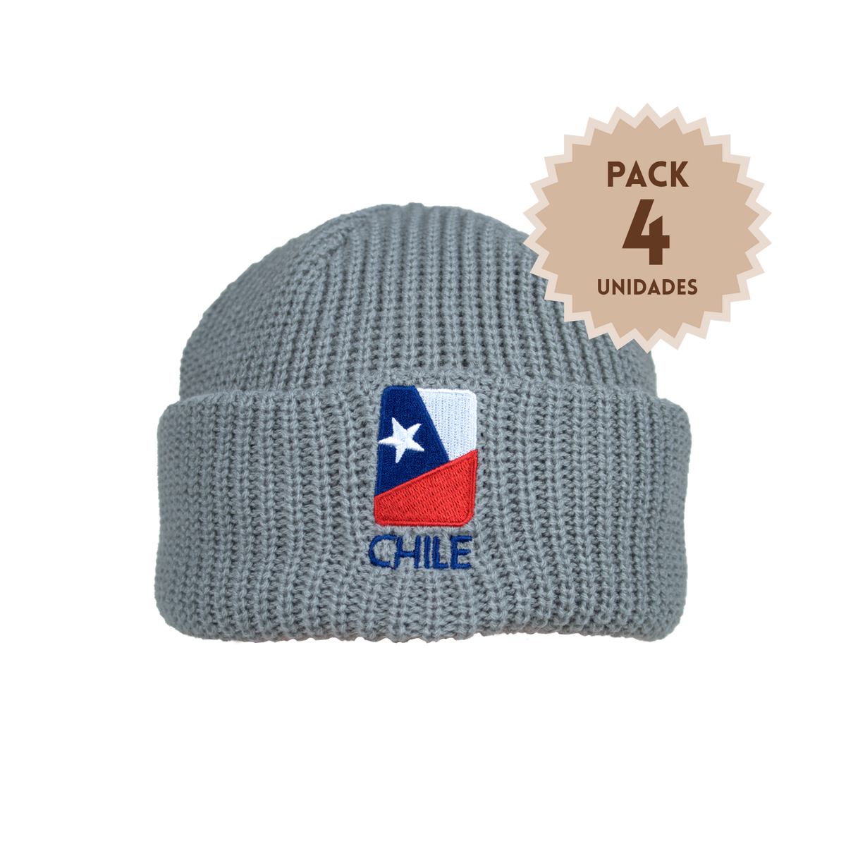 Pack 4 Gorros Beanie Bordados Bandera Chile