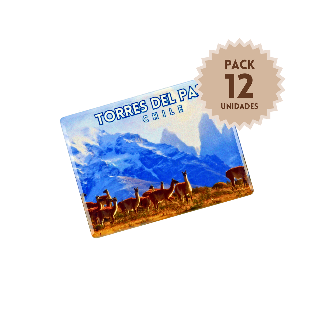 Pack 12 Imanes Cerámicos Chile Torres del Paine