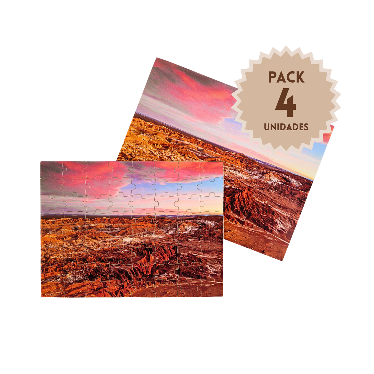 Pack 4 Puzzles Paisajes de Chile Atacama