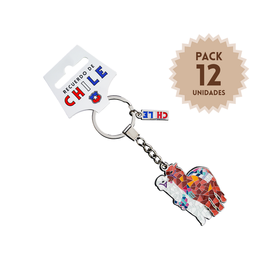 Pack 12 Llaveros Mosaico Llamas