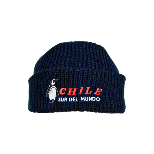 Gorro Beanie Bordado De Chile  Azul Pinguino