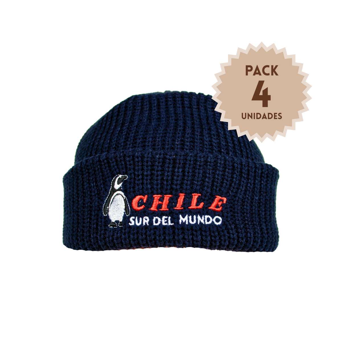 Pack 4 Gorros Beanie Bordados Chile Sur Del Mundo