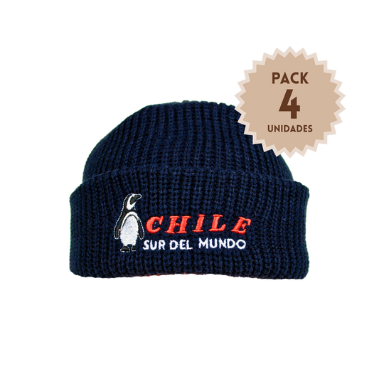 Pack 4 Gorros Beanie Bordados Chile Sur Del Mundo
