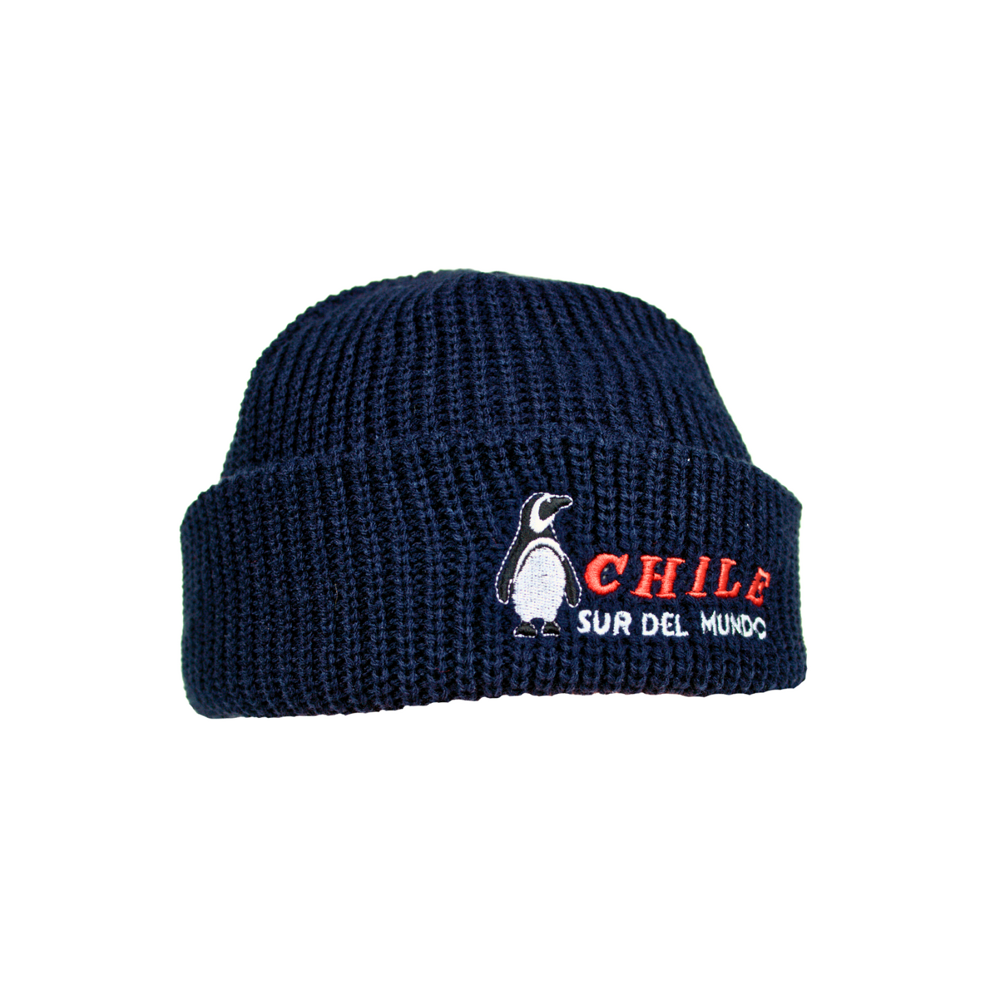 Gorro Beanie Bordado De Chile  Azul Pinguino