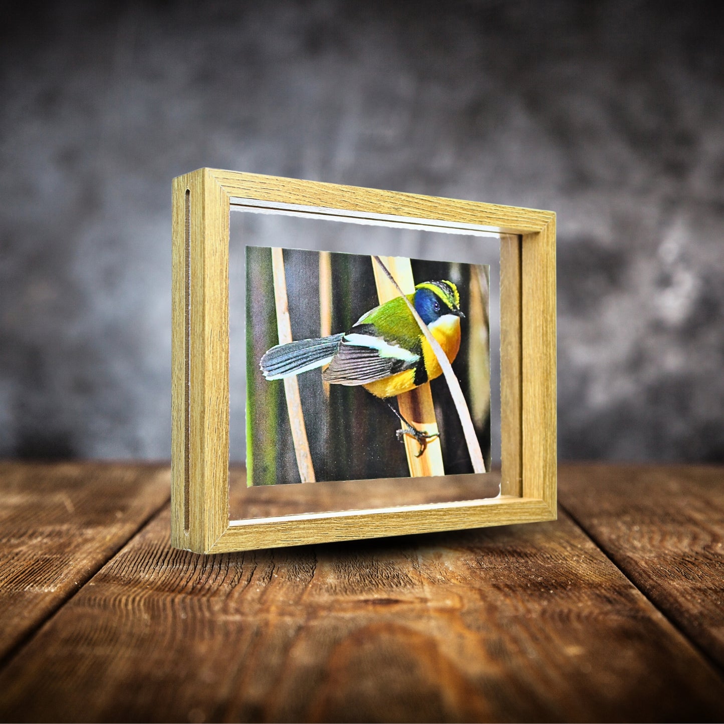 Marco Decorativo Flotante Doble Cara Flores Y Fotos