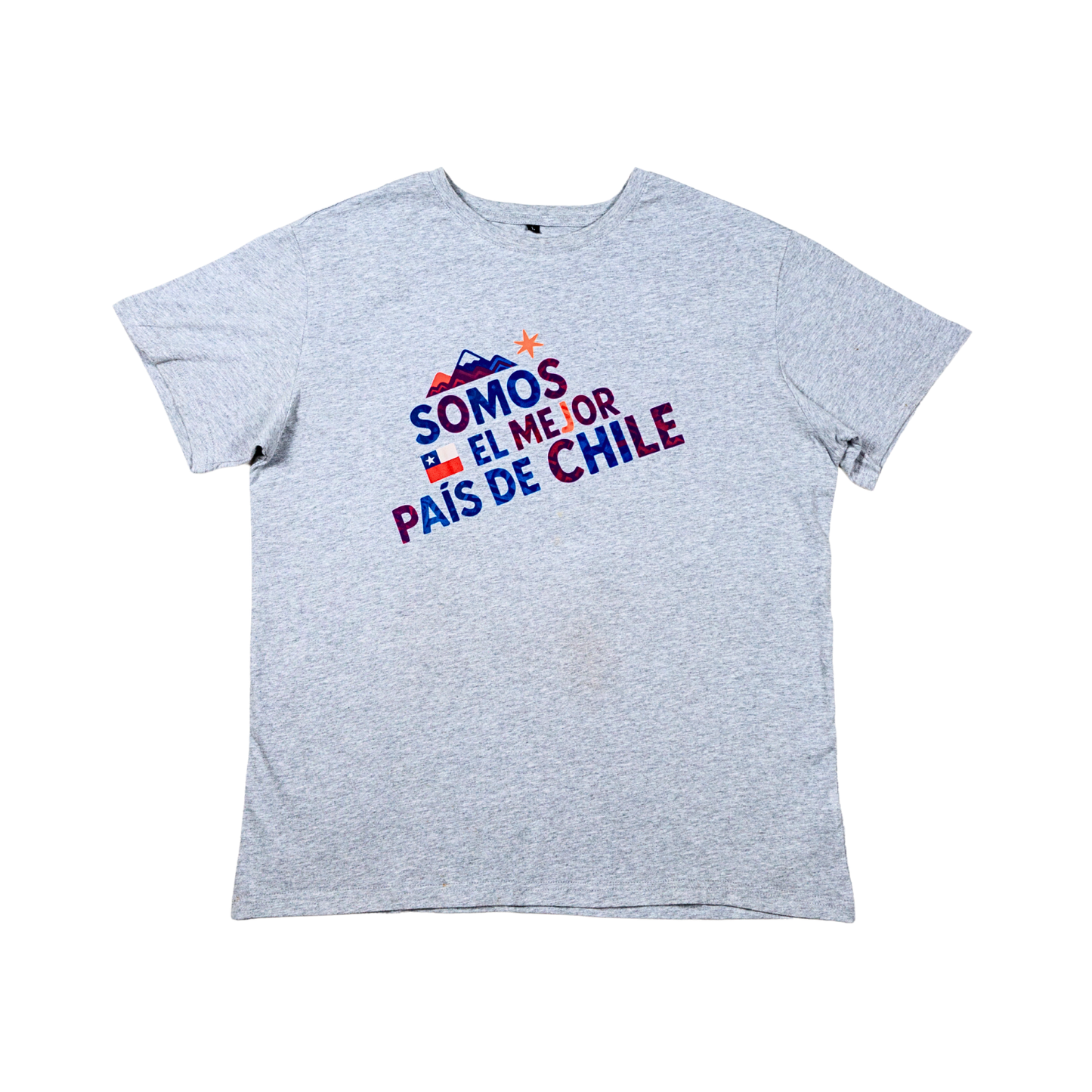 Polera de Algodón Unisex Souvenir de Chile Talla L Gris