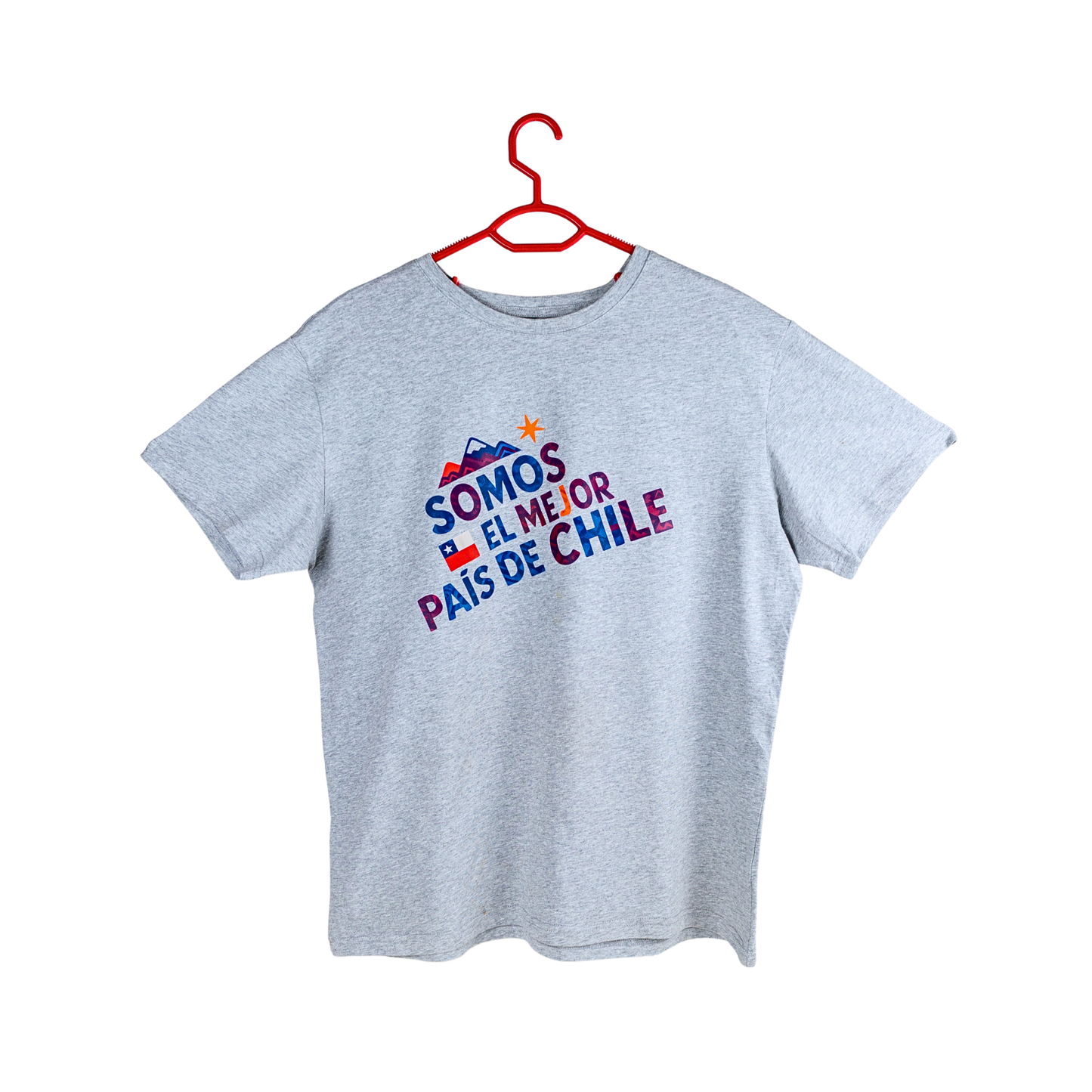Polera de Algodón Unisex Souvenir de Chile Talla L Gris
