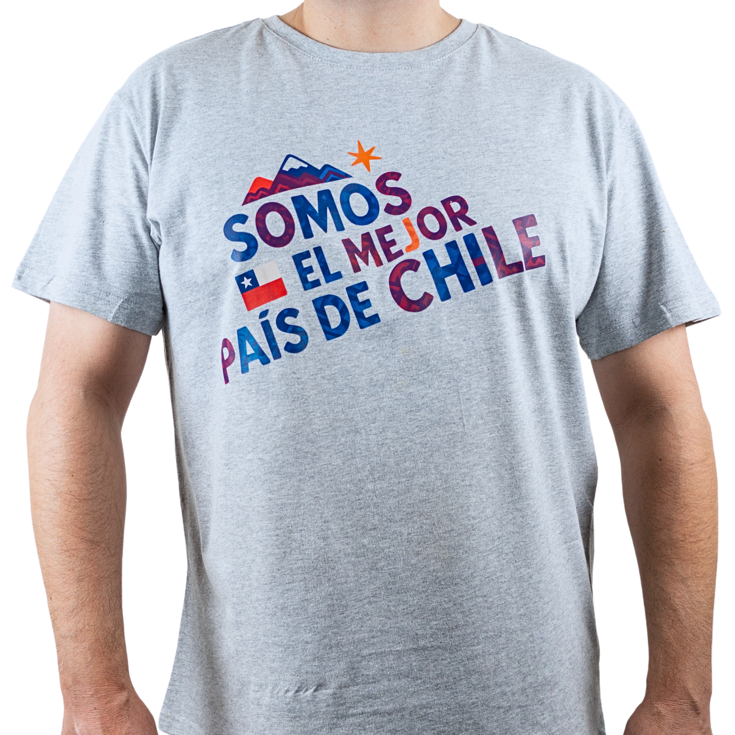 Polera de Algodón Unisex Souvenir de Chile Talla L Gris