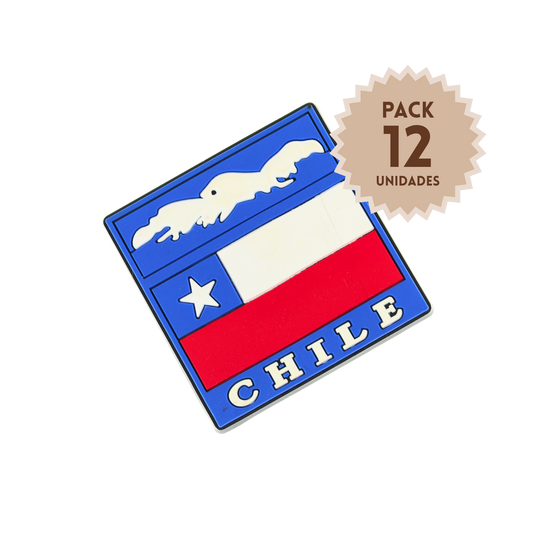 Pack 12 Imanes de Goma 3D de Chile Valle Nevado