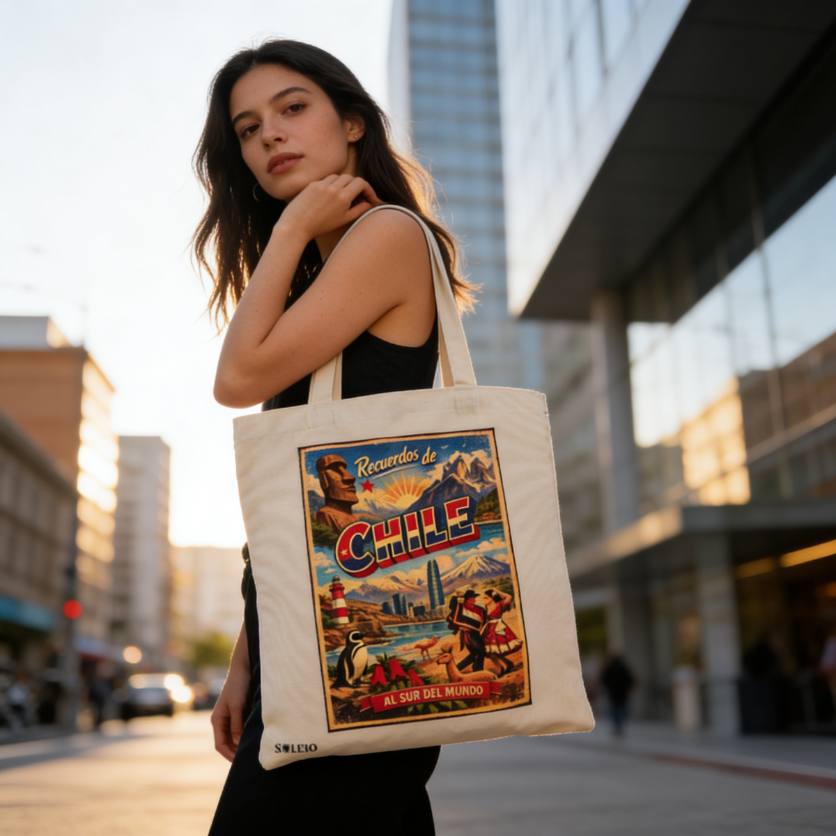 Pack 12 Tote Bag Lona Chile Al Sur Del Mundo