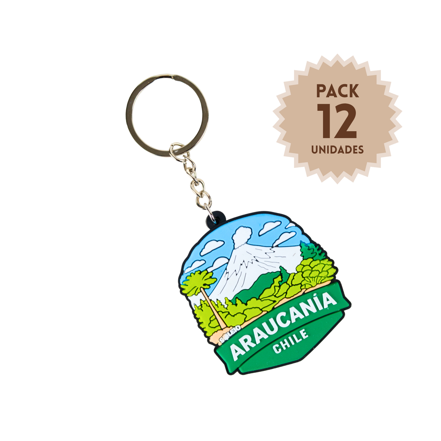 Pack 12 Llaveros De Goma Patch Travel Araucanía