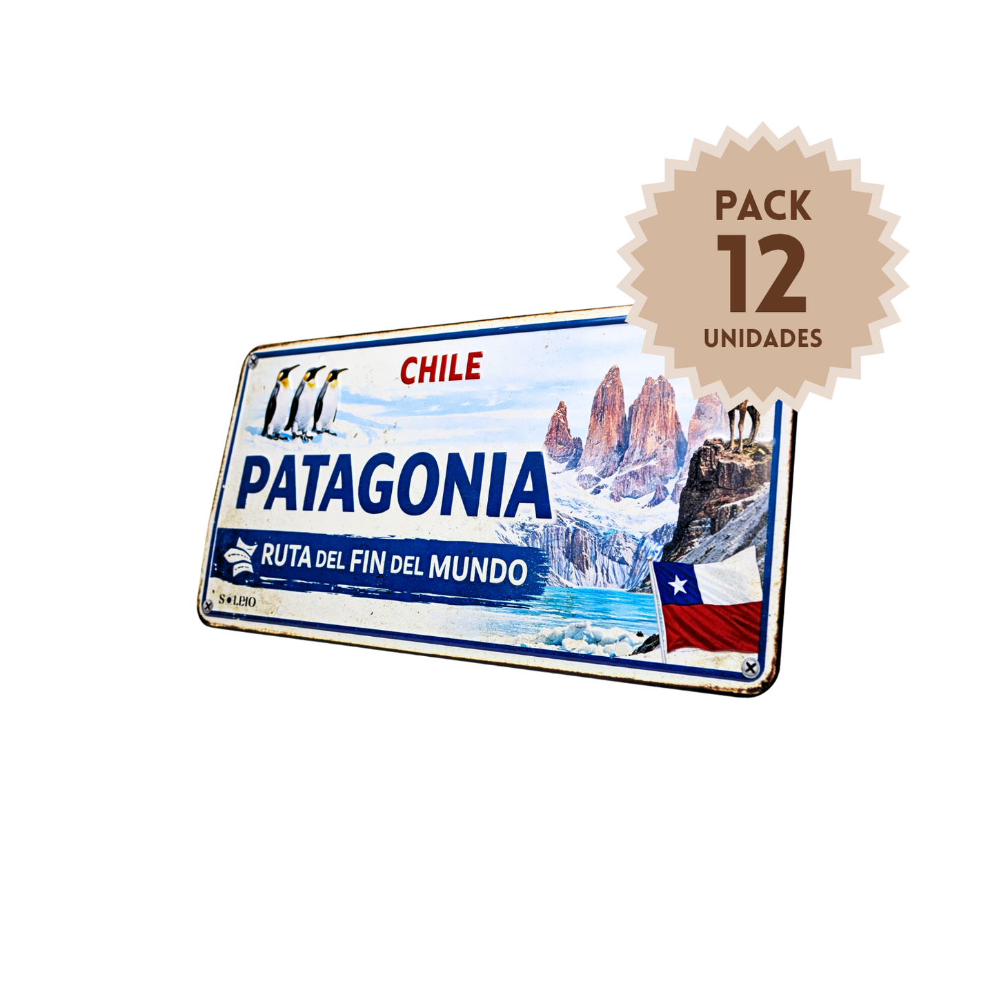 Pack 12 Cartel Metálico Chile Patagonia