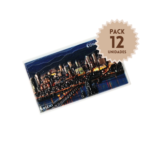 Pack 12 Imanes Resina 3D Chile Concepción