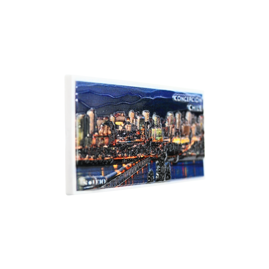 Imán Decorativo Resina 3D Concepción