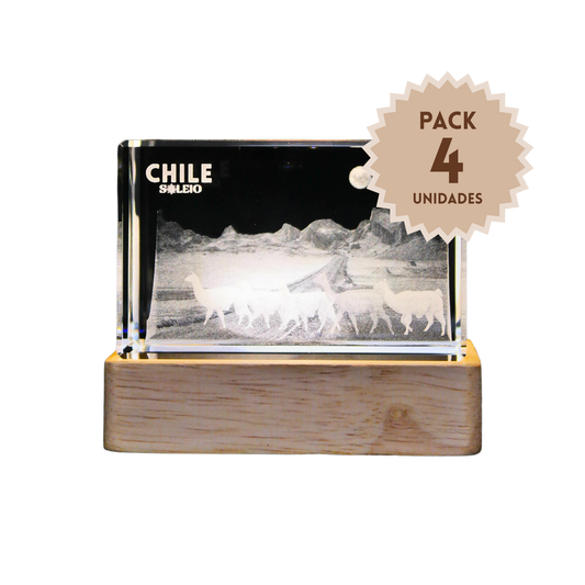 Pack 4 Cristales Grabados 3d Con Base Led Guanacos