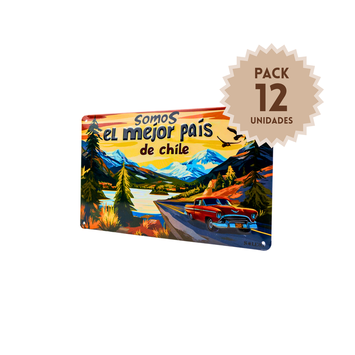 Pack 12 Cartel Metálico “Somos el Mejor País de Chile”