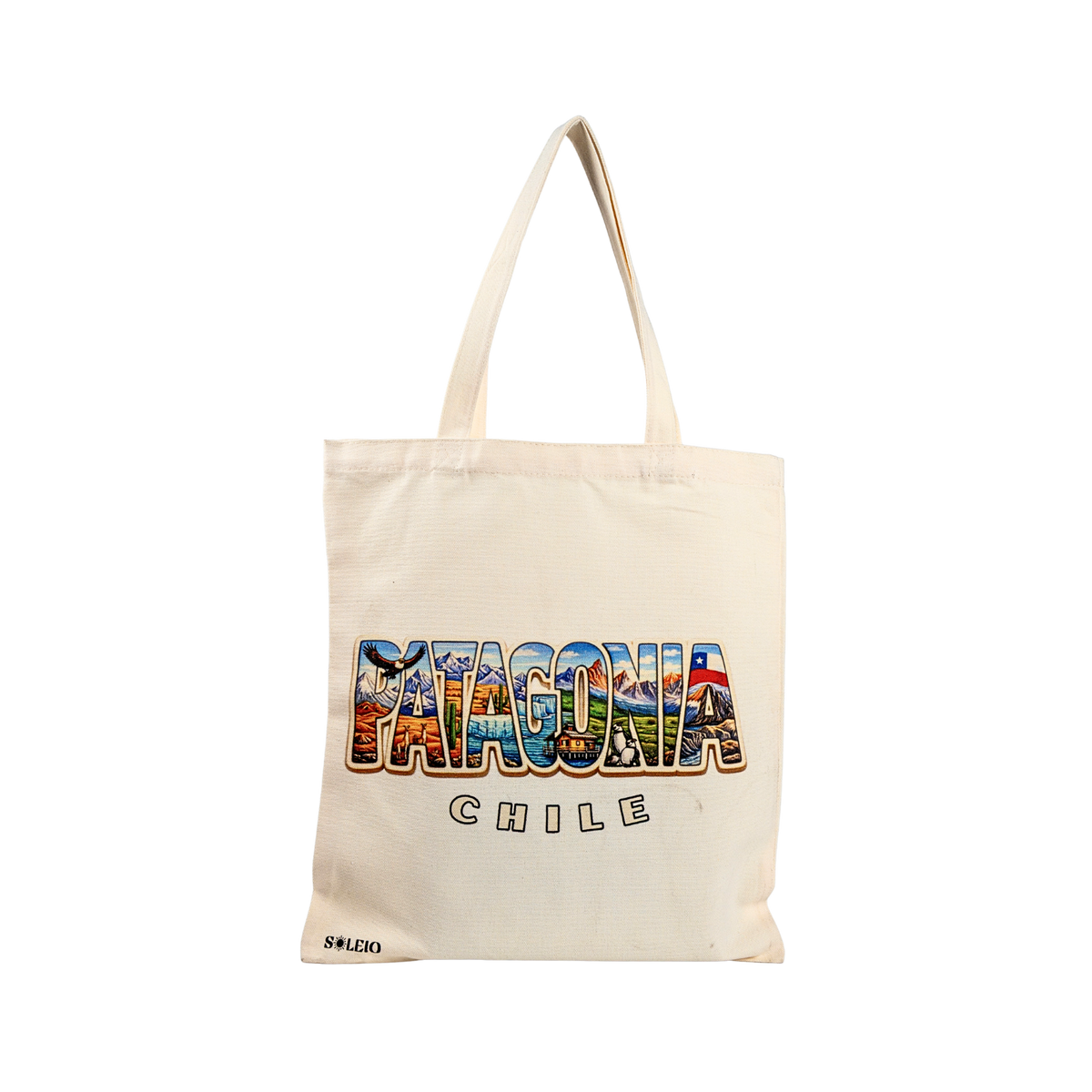 Pack 12 Tote Bag Lona Chile Patagonia