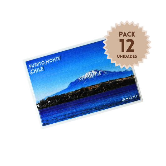 Pack 12 Imanes Resina 3D Chile Puerto Montt