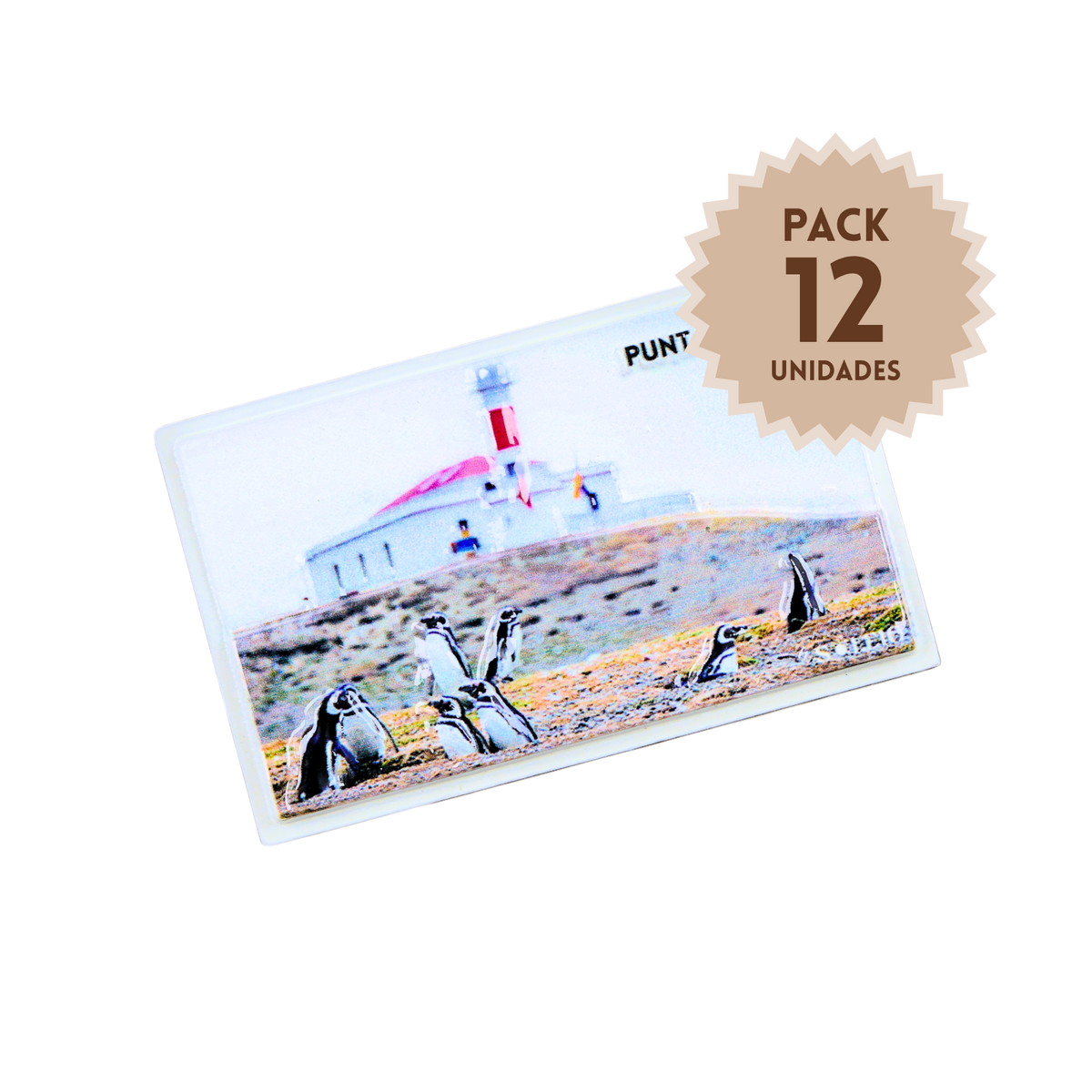 Pack 12 Imanes Resina 3D Chile Punta Arenas