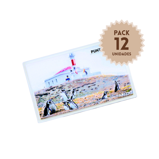Pack 12 Imanes Resina 3D Chile Punta Arenas