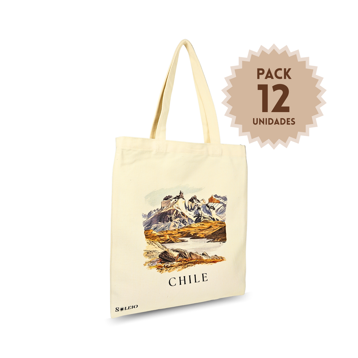 Pack 12 Tote Bag Lona Chile Torres Del Paine