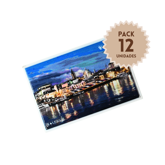 Pack 12 Imanes Resina 3D Chile Valdivia